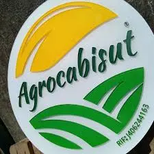 Logo en acrilico con letras resaltadas
