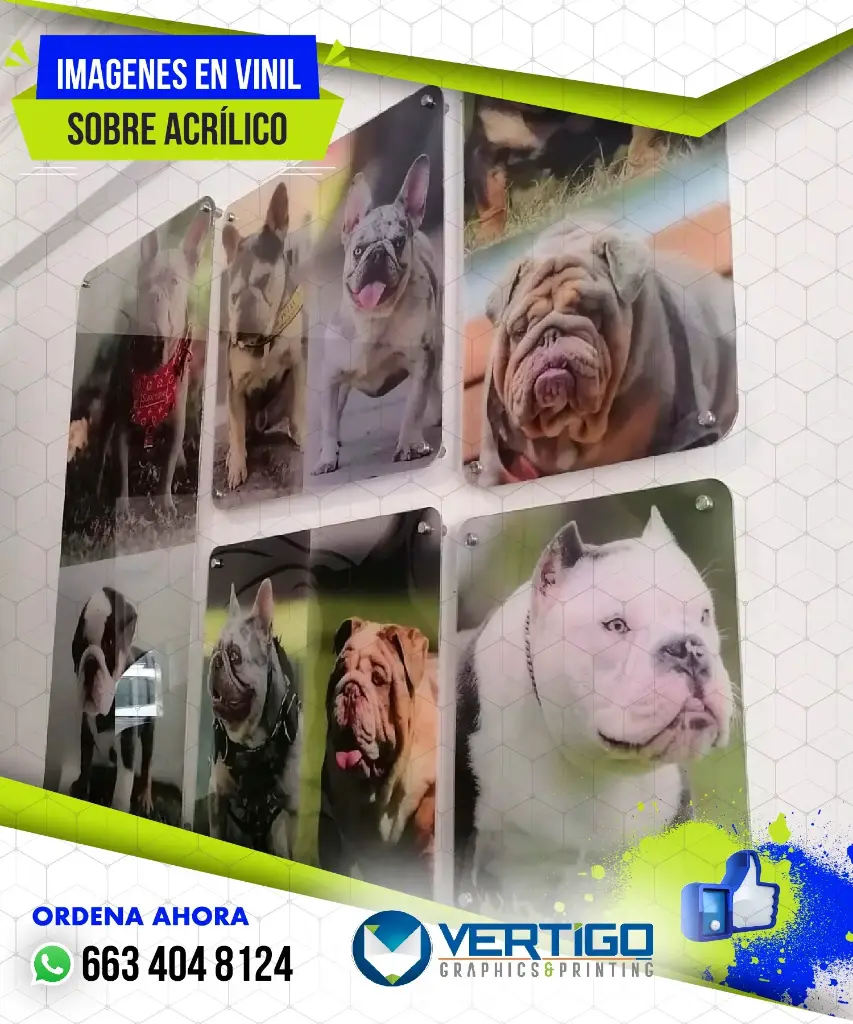 Vinil impreso sobre acrílico