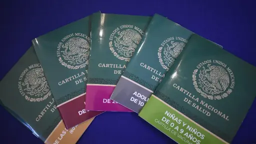 100pzs Cartillas de vacunacion