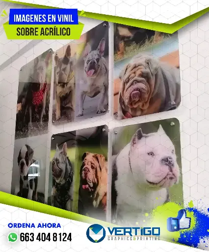 Vinil impreso sobre acrílico
